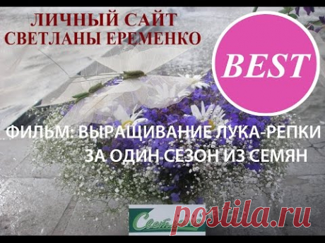 Выращивание лука-репки за один сезон из семян - YouTube