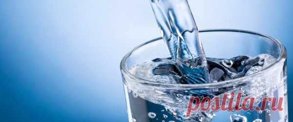 Как пить и быть здоровым | Я и дача | Яндекс Дзен