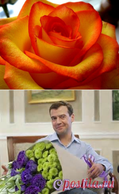 Поздравления | Записи в рубрике Поздравления | Дневник ZOLOTINOCHKA