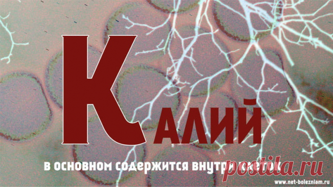 Почему калий является таким важным для нашего организма?

Калий - это очень важный химический элемент, содержание которого в организме около 120 - 140 г!

98 % этого количества содержится внутри клеток.