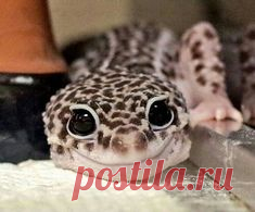 Cheezburger Image 9233784320