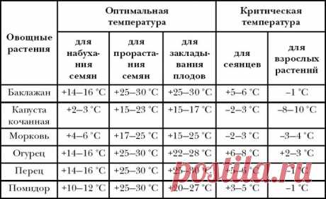 период вегетации огурцов: 9 тыс изображений найдено в Яндекс.Картинках