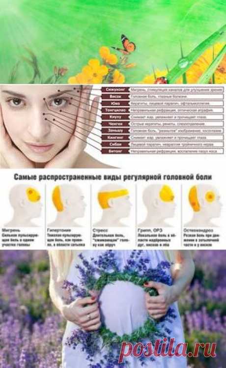 (1) Быть здоровым легко