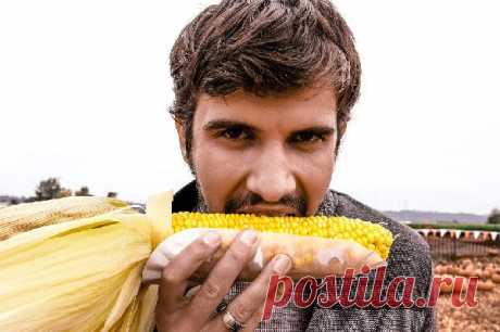 Голод и аппетит: как они «работают»? Какие
факторы влияют на количество потребляемой пищи и регулируют чувство голода? Какой
бывает голод? От чего зависит аппетит? Об этом и многом другом – в
статье Ирины Терещенко, врача-педиатра, врача лабораторной диагностики, к.м.н.