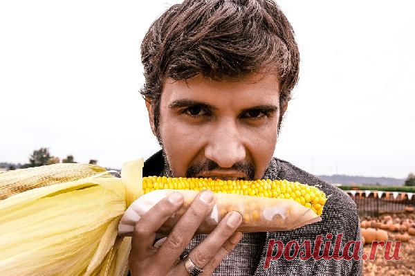 Голод и аппетит: как они «работают»? Какие
факторы влияют на количество потребляемой пищи и регулируют чувство голода? Какой
бывает голод? От чего зависит аппетит? Об этом и многом другом – в
статье Ирины Терещенко, врача-педиатра, врача лабораторной диагностики, к.м.н.