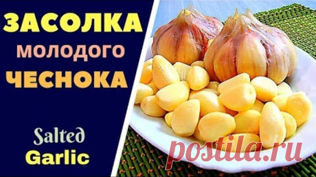 КАК ЗАСОЛИТЬ МОЛОДОЙ ЧЕСНОК Salted Garlic