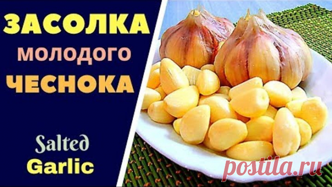 КАК ЗАСОЛИТЬ МОЛОДОЙ ЧЕСНОК Salted Garlic