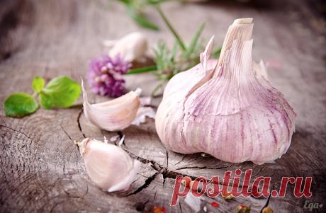 Интересные факты о чесноке и его магические свойства.
