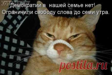 Ограничили свободу слова...