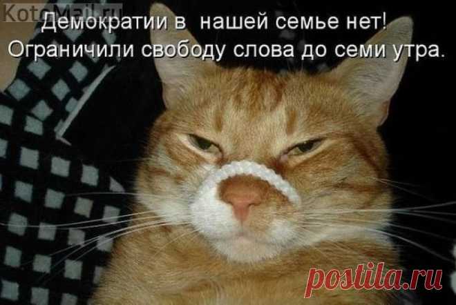 Ограничили свободу слова...