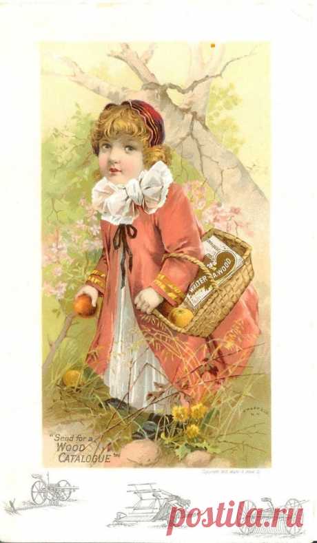 0_6c91f_42922630_XXXL.jpg (746×1280)