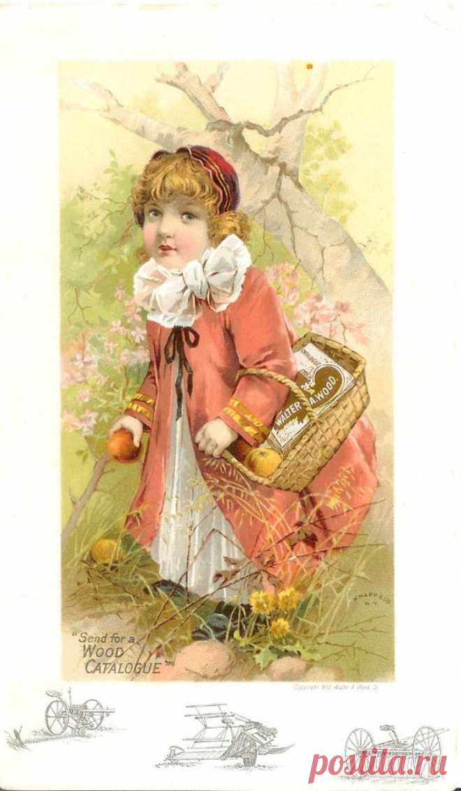 0_6c91f_42922630_XXXL.jpg (746×1280)