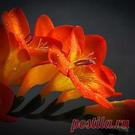 500px / Popular Photos