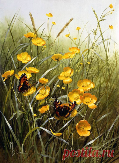 Художник Mary Dipnall. Полевые цветы... Разноцветье средь трав и росы....