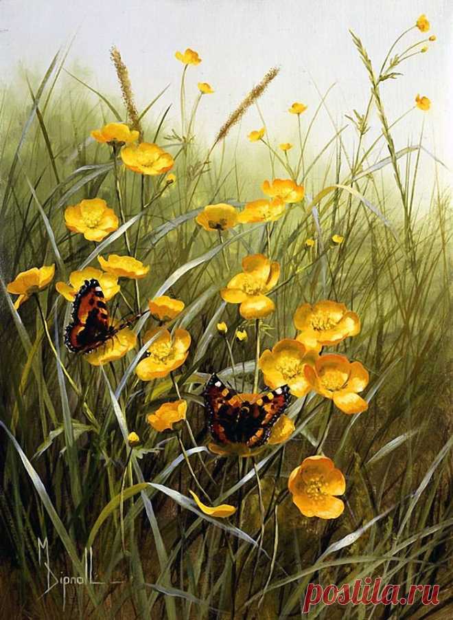 Художник Mary Dipnall. Полевые цветы... Разноцветье средь трав и росы....