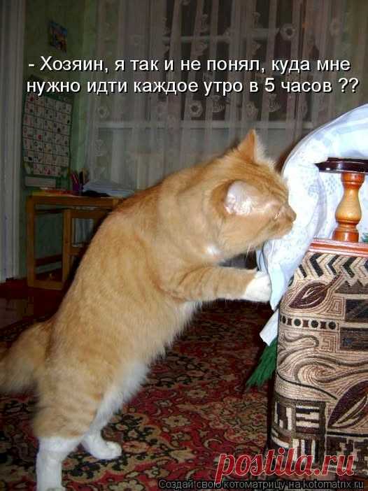 f0f9994c.jpg (526×702)