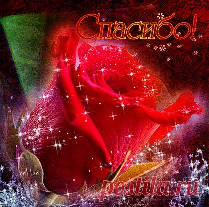 Приложение "Открытки"
Ирина Корсун