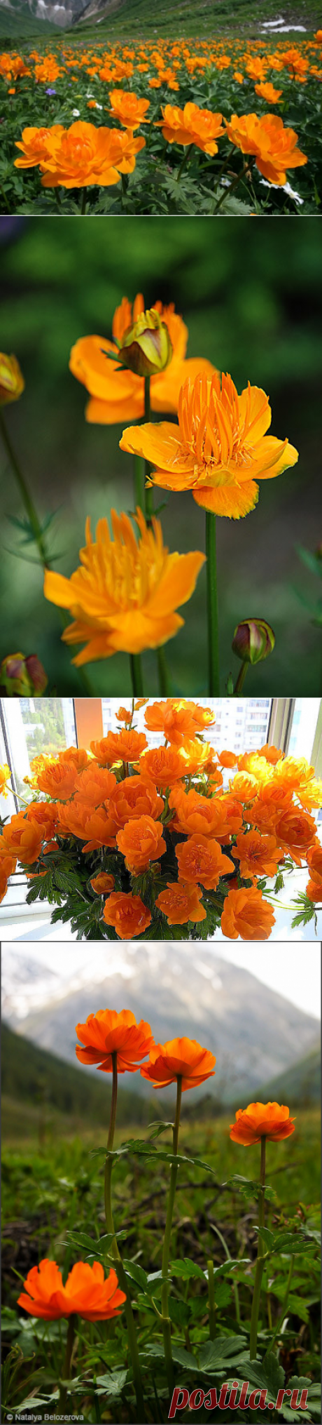 (48) Одноклассники