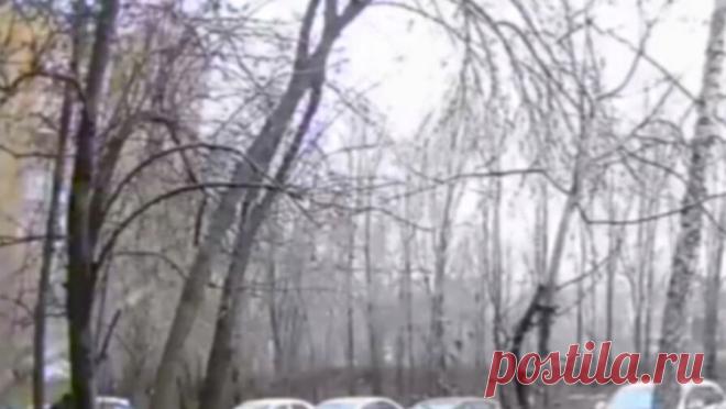 В Оренбурге 19-летней девушке ампутировали ногу после падения дерева. Жительнице Оренбурга ампутировали ногу после того, как на нее упало дерево. Видео с моментом падения опубликовал Telegram-канал UTV. Несчастный случай произошел с 19-летней оренбурженкой днем 27 ноября во дворе жилого дома N14 на улице ...