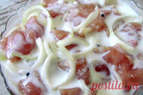 Шашлык из свинины на кефире: 3 вкусных рецепта приготовления