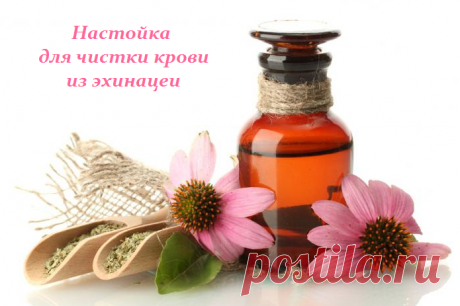 Настойка для чистки крови