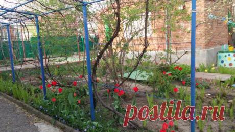 Обменяю Краснодарский край на Московскую область купить в Кропоткине на UniBO.ru (ID#4055142)