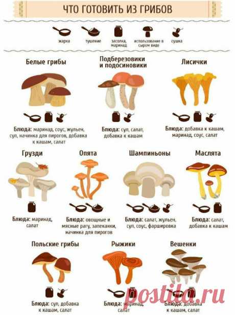 Полезнейшие кухонные шпаргалки | Делимся советами