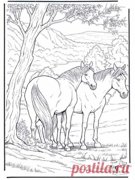 (24) Beautiful Horse Coloring Pages | Colorings Of Horses | the horse whisperer
