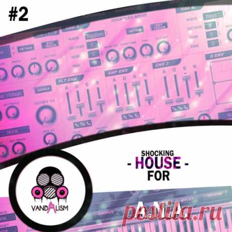 Vandalism Shocking House ANA 2 For SONiC ACADEMY ANA PRESET  | 14MB
Vandalism  'Shocking House For ANA 2' is an up-to-date House soundset full of modern genre defying sounds. This soundset is aimed for acoustic oriented plucks and guitars, deep and worm basses, depth pads and stunning leads and synths.

The pack contains painstakingly designed presets that are covering all areas of House music. Get your hands on the soundset which brings the melodic and summer vibrations to your studio!