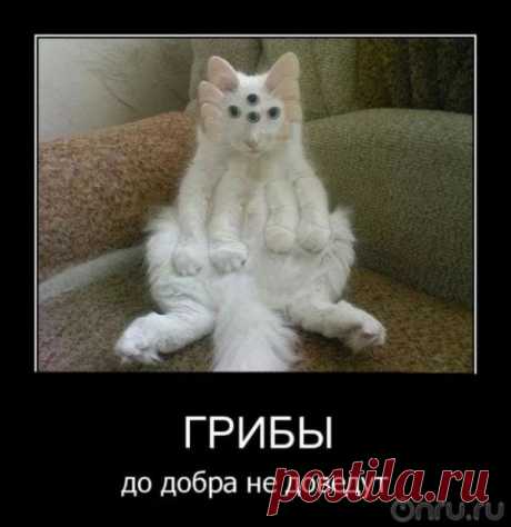Знания космоса и древних- знания Вечности!