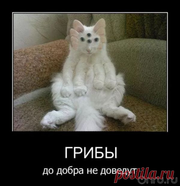 Знания космоса и древних- знания Вечности!