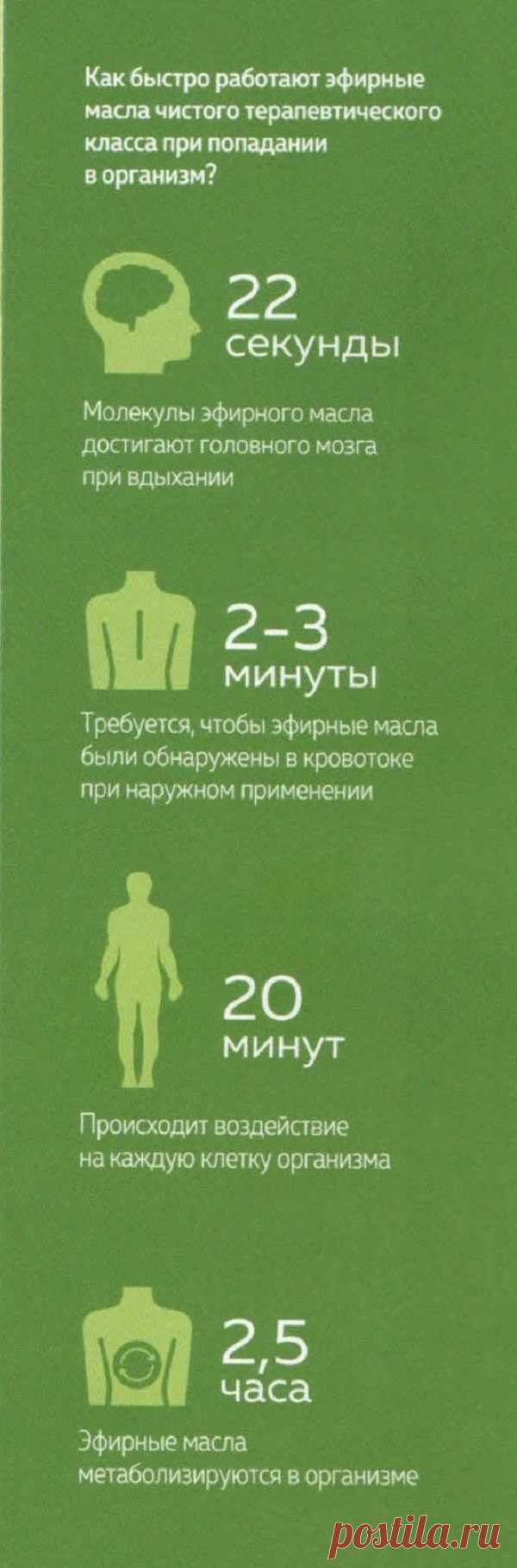 Как быстро работают эфирные масла при попадании в организм
