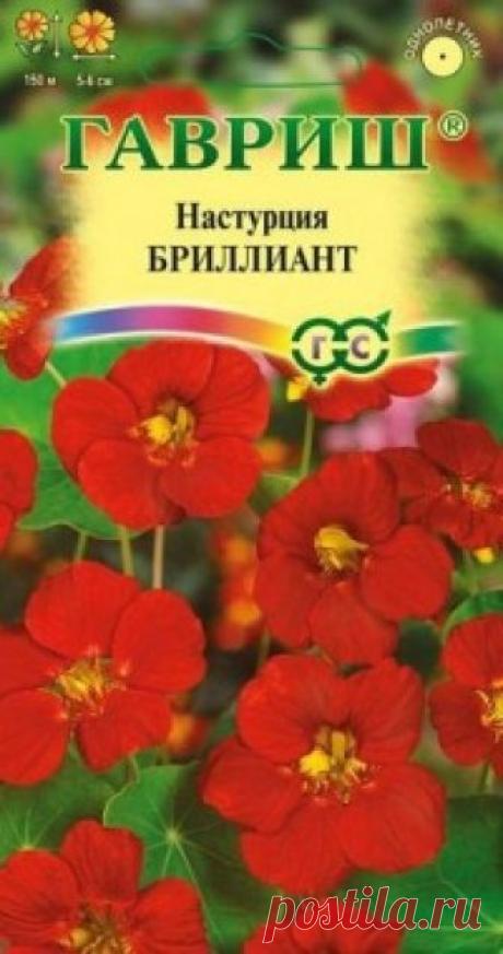 Семена. Настурция "Бриллиант" (вес: 1,0 г) Всхожесть: 85%.
Однолетнее травянистое растение семейства Настурциевые с плетистыми побегами длиной 3 м. Цветет обильно с июня до заморозков. Цветки темно-красные 5-6 см в диаметре. Теплолюбива и светолюбива. Предпочитает умеренно плодородные, влажные почвы. Выращивают рассадным способом...