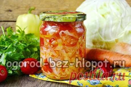 Очень вкусная заправка для борща с капустой на зиму Все мы любим полакомиться горячим борщом, но готовить его достаточно трудоемкий процесс. Я предлагаю вам сделать заправку для борща с капустой на зиму по моему рецепту, получится очень вкусно. Ведь порой у нас, современных хозяек не хватает времени на готовку борща. Чтобы сэкономить свое драгоценное время, можно сделать так называемый полуфабрикат для готовки борща. Он полностью состоит из натуральных продуктов, в отличие...