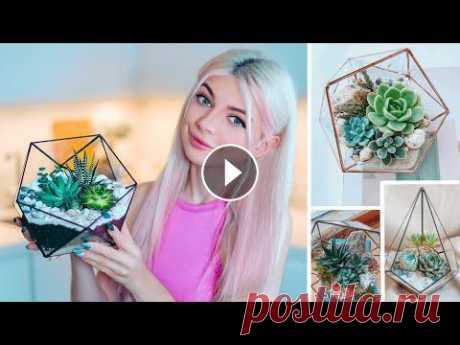 DIY - Пробую Своими Руками Сделать Флорариум  | Идея из Pinterest Я вдохновилась красивыми флорариумами и решила попробовать сделать сама на видео, как думаешь, у меня получилось? Где меня найти? ✔️ Я в Инстаграм - ✔...