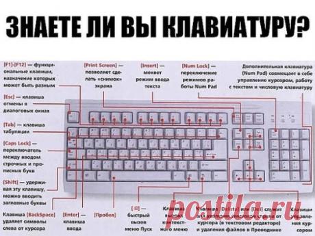 ЗНАЕТЕ ЛИ ВЫ КЛАВИАТУРУ НА СВОЁМ КОМПЬЮТЕРЕ?
F1— вызывает «справку» Windows или окно помощи активной программы. В Microsoft Word комбинация клавиш Shift+F1 показывает форматирование текста;
F2— переименовывает выделенный объект на рабочем столе или в окне проводника;
F3— открывает окно поиска файла или папки на рабочем столе и в проводнике. Комбинация клавиш Shift+F3 часто используется для поиска в обратном направлении;
F4— открывает выпадающий список, например, список строки адреса в окне ‘