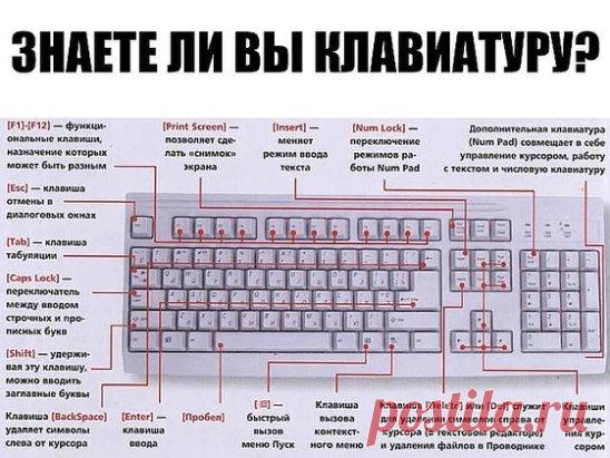 ЗНАЕТЕ ЛИ ВЫ КЛАВИАТУРУ НА СВОЁМ КОМПЬЮТЕРЕ?
F1— вызывает «справку» Windows или окно помощи активной программы. В Microsoft Word комбинация клавиш Shift+F1 показывает форматирование текста;
F2— переименовывает выделенный объект на рабочем столе или в окне проводника;
F3— открывает окно поиска файла или папки на рабочем столе и в проводнике. Комбинация клавиш Shift+F3 часто используется для поиска в обратном направлении;
F4— открывает выпадающий список, например, список строки адреса в окне ‘