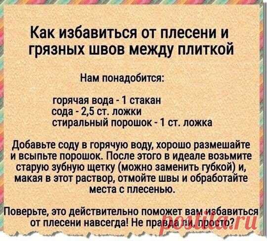 Без заголовка
