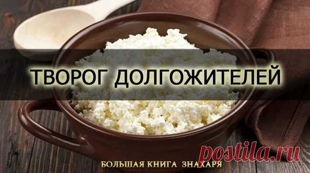 Лимонный творог — еда долгожителей

Это пресный творог, он делается из молока и лимона.