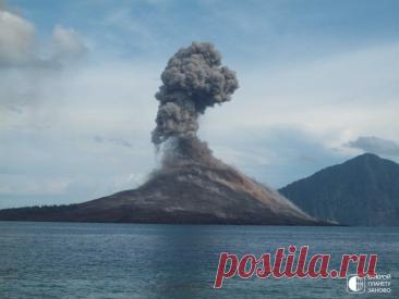 Мощный вулкан Кракатау Кракатау — действующий вулкан в Индонезии, расположенный на Малайском архипелаге в Зондском проливе, между островами Ява и Суматра.Площадь островов 10,5 км². Высота нынешнего вулкана 813 м. До извержения 1883 года вулкан был значительно выше и представлял собой один большой остров. Однако...