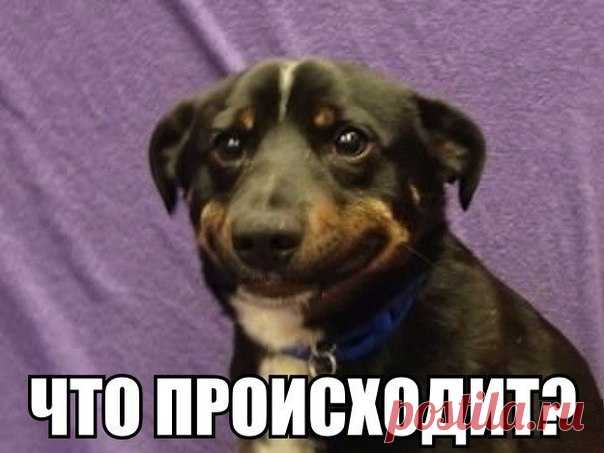 Когда тебе перевалило за 20 и теперь все от тебя требуют принятия каких-то решений: