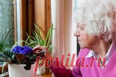 Сегодня 23 июня отмечается 