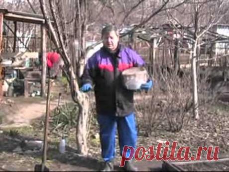 Доломитовая мука в сельском хозяйстве