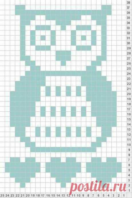 Corujinh grafico