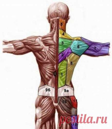 ПРОЕКЦИЯ ПСИХОСОМАТИЧЕСКИХ ПРОБЛЕМ НА ТЕЛЕ |