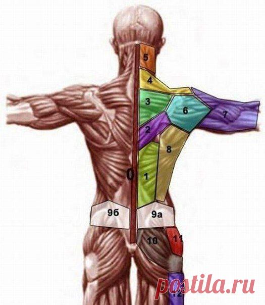 ПРОЕКЦИЯ ПСИХОСОМАТИЧЕСКИХ ПРОБЛЕМ НА ТЕЛЕ |