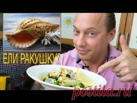 Трубач. Красивые ракушки тоже едят.