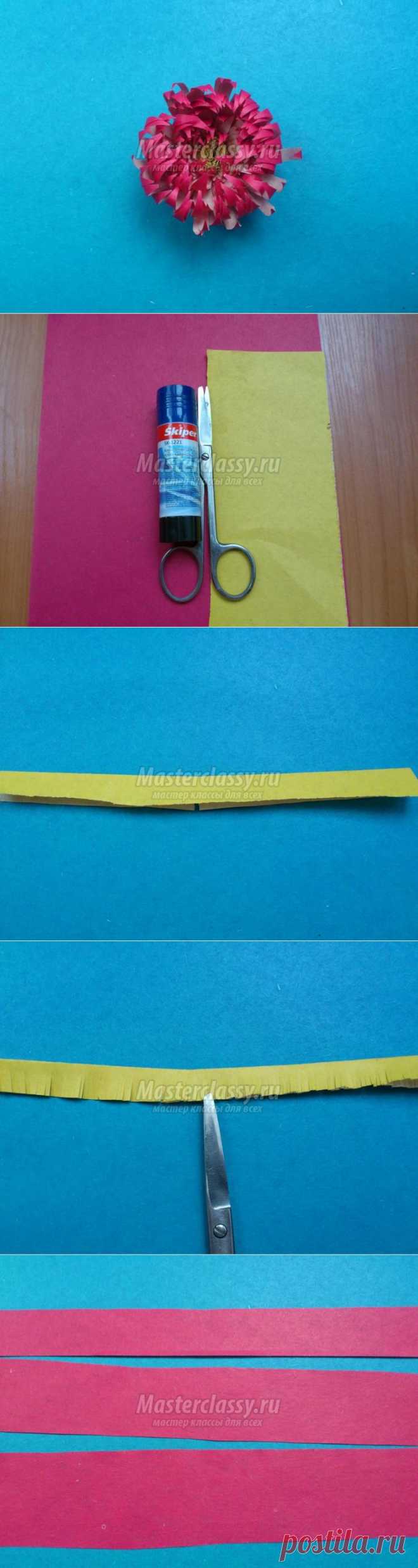 Цветы из бумаги. Астра. Мастер-класс с пошаговыми фото