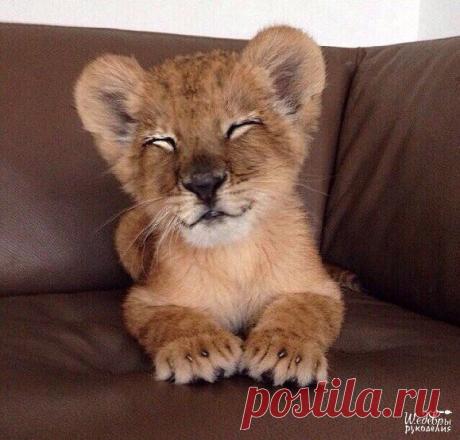 Мой Мир@Mail.Ru