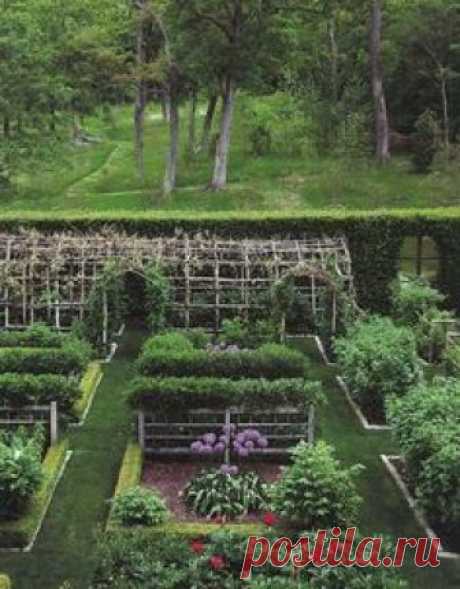 Lovely vegetable and flower garden with a pergola and a woodland path just beyond.    by Decker Rd. Seeds